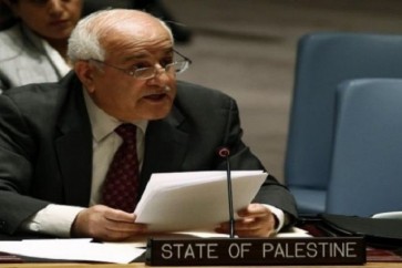 سفير فلسطين لدى الأمم المتحدة رياض منصور