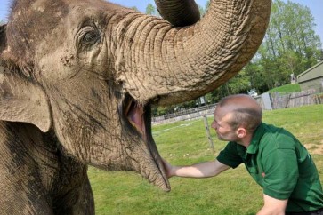 حديقة حيوانات بريطانية مهددة بالإغلاق بعد نفوق 486 حيوانا