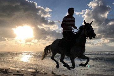 فوائد مذهلة للأطفال عند ركوب الخيل