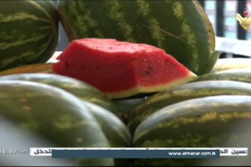 البطيخ اللبناني_1
