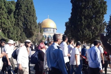 مستوطنون صهاينة