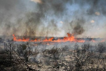 حريق بالمستوطنات الصهيونية