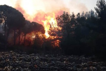 تجدد الحريق صباحا في مزرعة الضهر والأهالي يناشدون التدخل للسيطرة على النيران