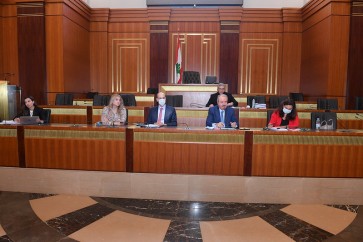 لجنة فرعية