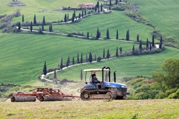Farms Italy