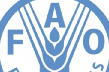 Fao