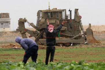 غزة
