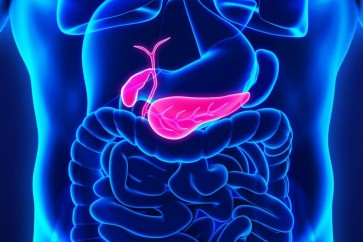 Pancreas Cancer