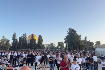 قدس