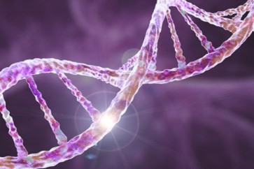 Obesity Genes